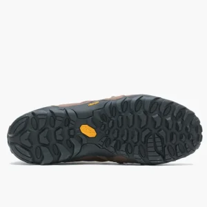 Hombre Chameleon 8 Stretch - Ver todo